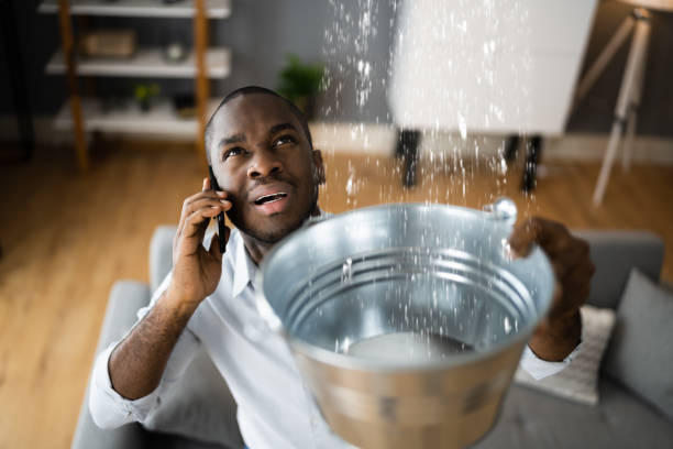 Best Carpet water damage restoration  in Mercer, PA