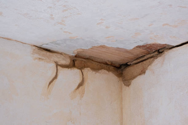 Best Fire Damage Restoration  in Mercer, PA