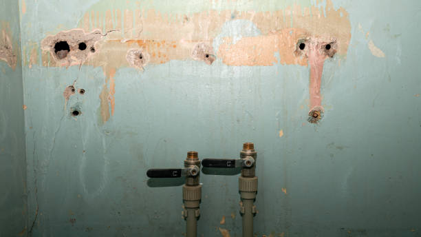 Best Water damage restoration near me  in Mercer, PA