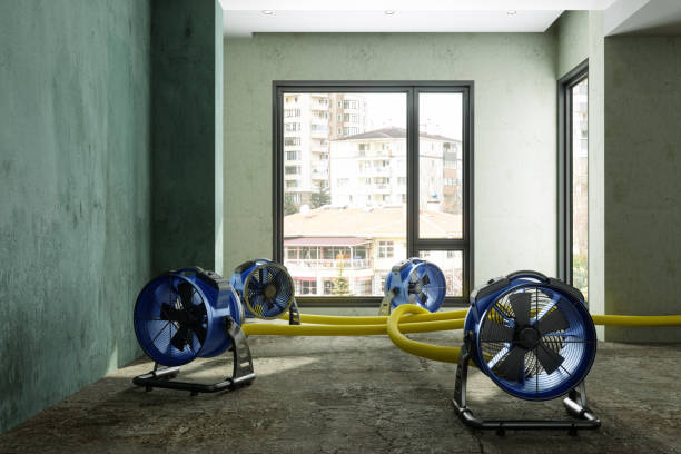 Best Professional water damage repair  in Mercer, PA