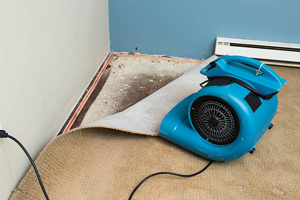 Best Water damage restoration specialists  in Mercer, PA